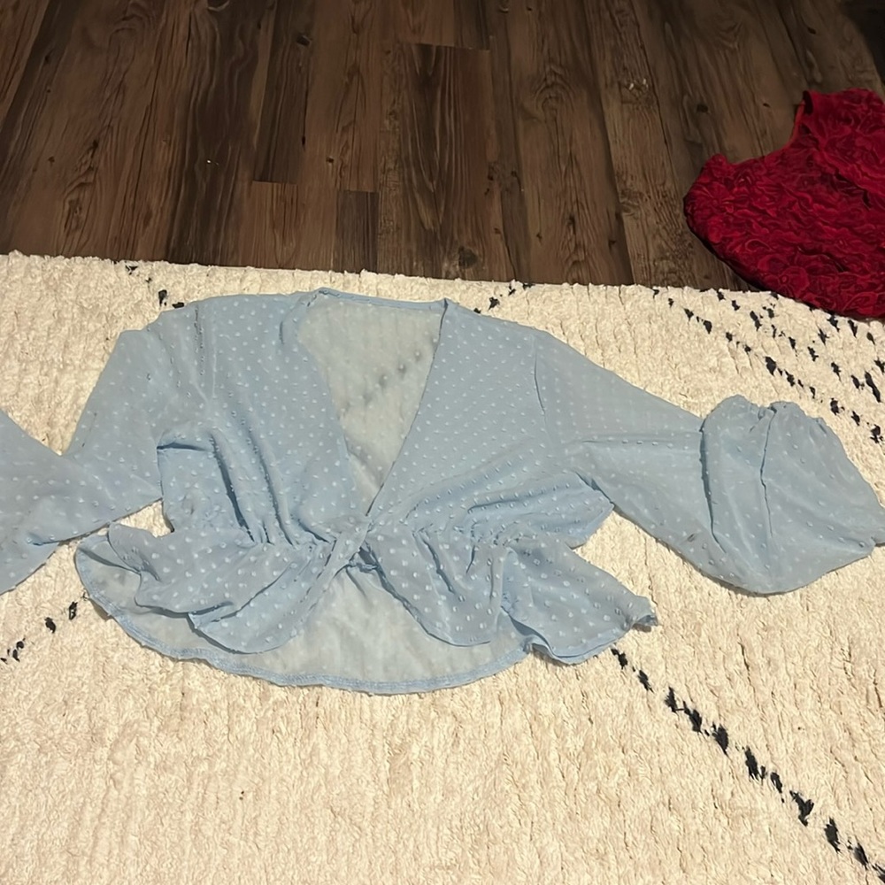 See through blue top. Long sleeve with elastic wrists. Never worn, just tried on